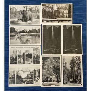 Vintage Yosemite California Real Photo Postcard RPPC Lot of 9 Nature Bear 39B